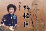 红梅阁 2010年实况
