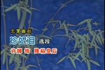 珍妃泪