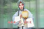 刘兰芝 2017年10月演出下载