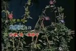 龙须沟 选段 【四板腔】
