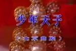 少年天子