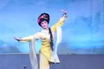 雅娘 全剧
