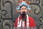 罗元救父 大破安南10