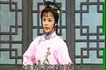 庐剧小辞店 （盛小五）5