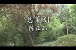 泪美人 全剧下载