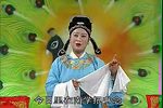 上错绣楼嫁对郎 全剧下载