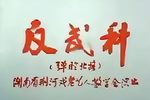 反武科