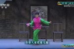 小女婿 青春版
