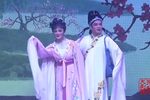 何文秀 赵志刚版下载