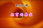 拐弯亲家下载