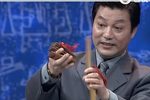 接接缘 选段