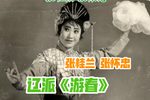 杨八姐游春 抱板