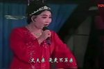 十三不亲下载