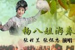 杨八姐游春 1982