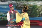 杨八姐游春