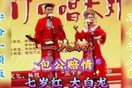 包公赔情