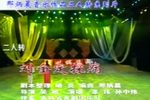刘金定探病下载