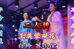 王美蓉观花下载