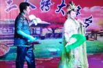 大西厢 葡梅架 带演示