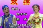 双拐下载