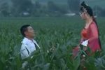 西厢写书
