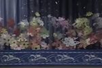 王祥卧鱼