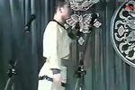 杨八郎探母 全本