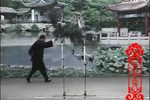 小西厢下载