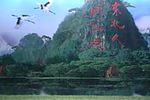 花花世界