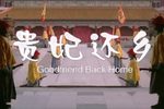 贵妃还乡下载