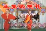 王美荣观花