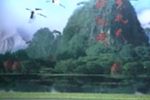 花花世界