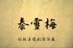 秦雪梅 新版全本