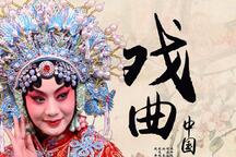 京剧戏曲大合集——经典国粹艺术鉴赏（第一部）197部