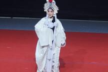 白蛇传·断桥 片段