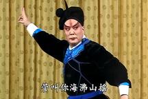 林冲夜奔 片段