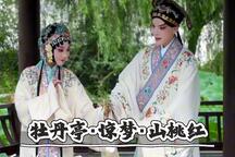 牡丹亭·惊梦 片段下载