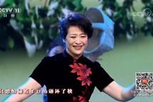 摘豆角 片段