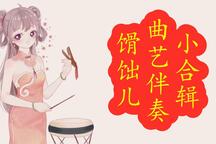 曲艺伴奏小合辑（京韵大鼓、单弦、京东大鼓、西河大鼓、天津快板 等）9部