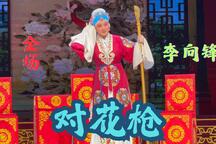 杜比视界 豫剧对花枪全场戏下载