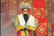 豫剧《黑驴告状》全剧 张合李秋生演唱 经典豫剧全场戏