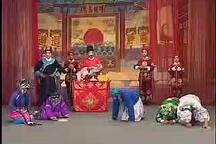 豫剧母老虎上轿全剧8部 经典豫剧喜剧全本下载
