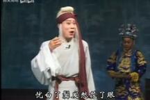 豫剧《狸猫换太子》全剧 刘忠河 王凤银主演