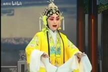 豫剧全场戏合集100部 经典豫剧全本大戏完整收录