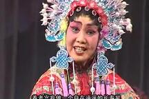 怀梆《斩皇子》《穆桂英挂帅》《反西京》《樊梨花征西》4部