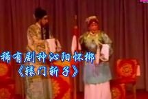 辕门斩子