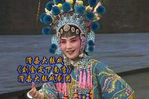 刘金定下南唐