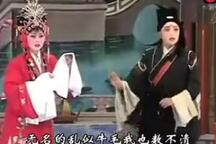 两版《张廷秀私访》全剧 李艳玲刘粉霞主演道情戏曲下载