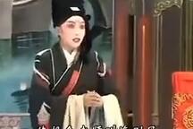 张廷秀私访 全场