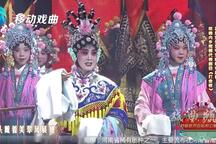 打金枝
